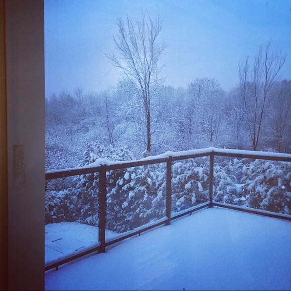 Meet your Posher, Olga - Picture 1 of 1